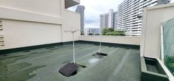 Pandan Valley (D21), Condominium #591929301